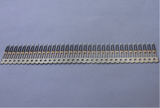 公頭(電泳) 公頭(電泳)